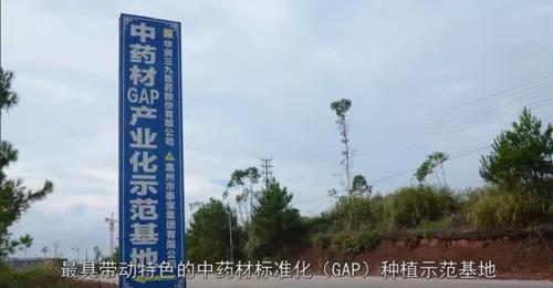 泰寶中醫(yī)藥健康養(yǎng)生產(chǎn)業(yè)園